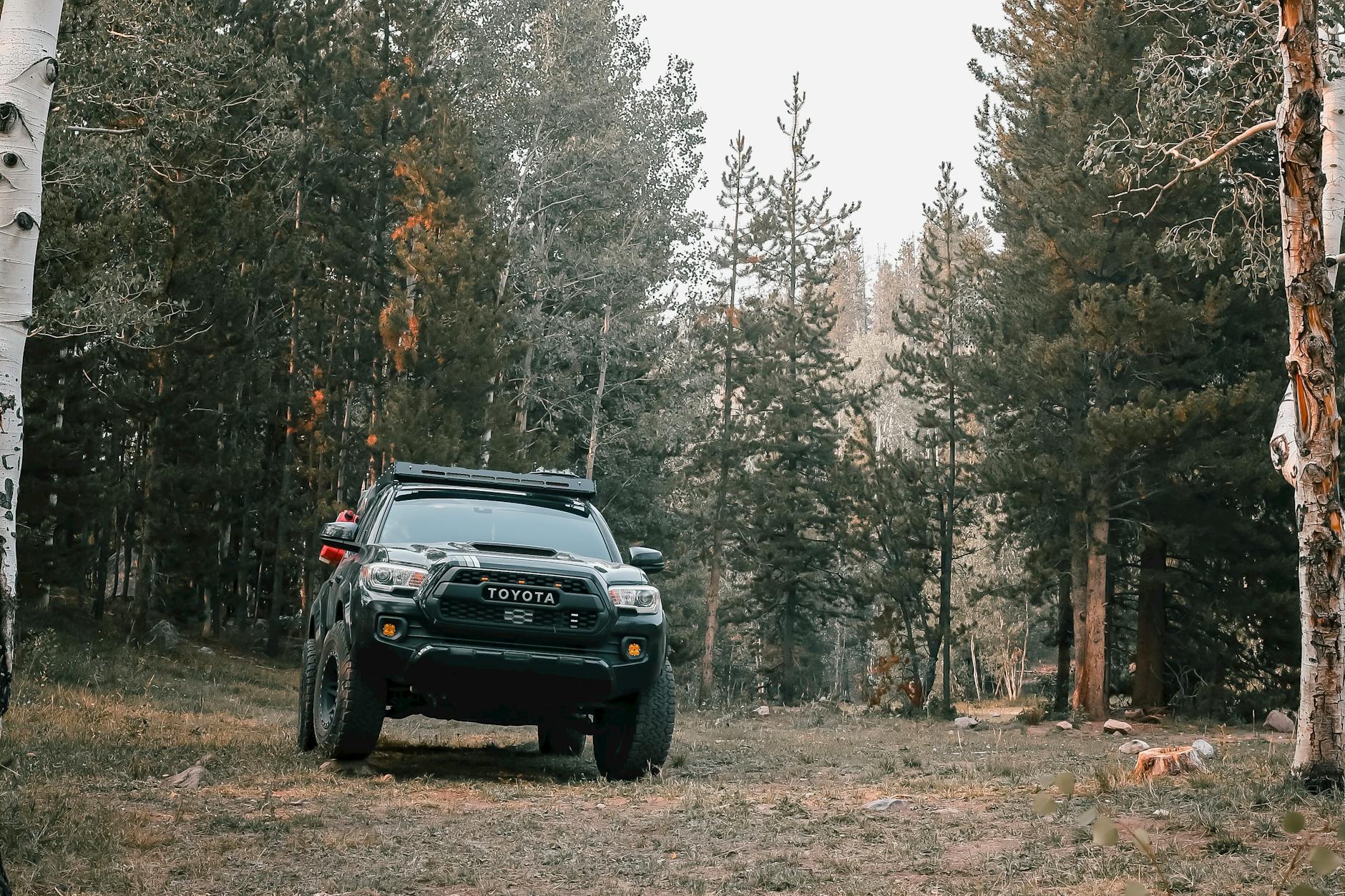 2013 Toyota Tacoma Oil Type