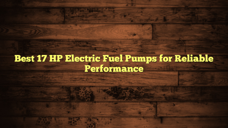 Best 17 HP Electric Fuel Pumps for Reliable Performance