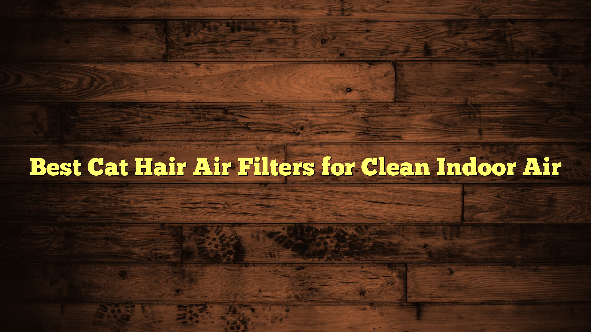 Best Cat Hair Air Filters for Clean Indoor Air