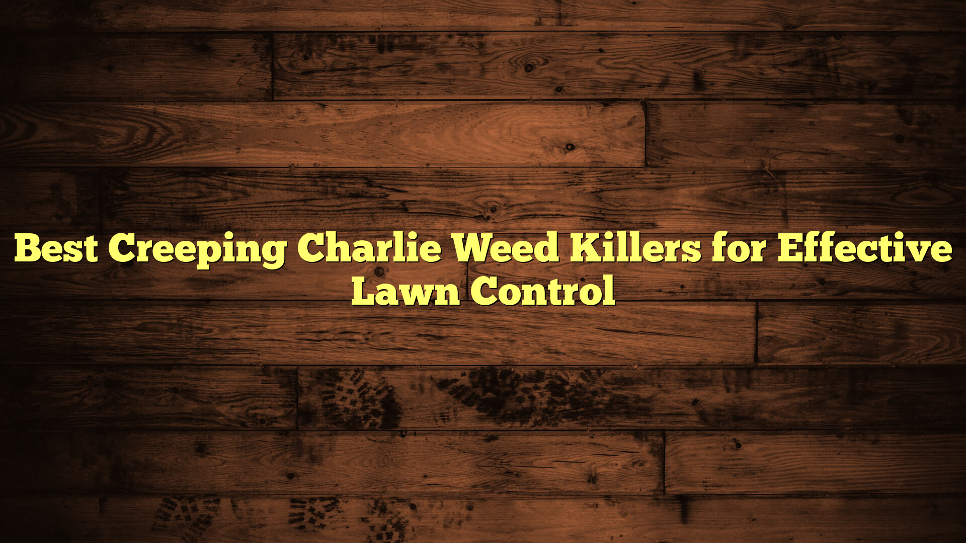 Best Creeping Charlie Weed Killers for Effective Lawn Control