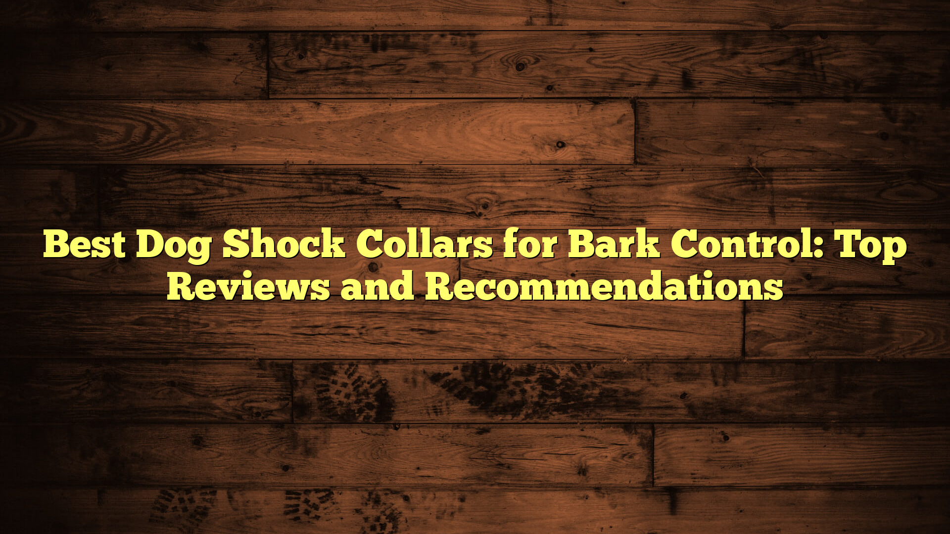 Best Dog Shock Collars for Bark Control: Top Reviews and Recommendations