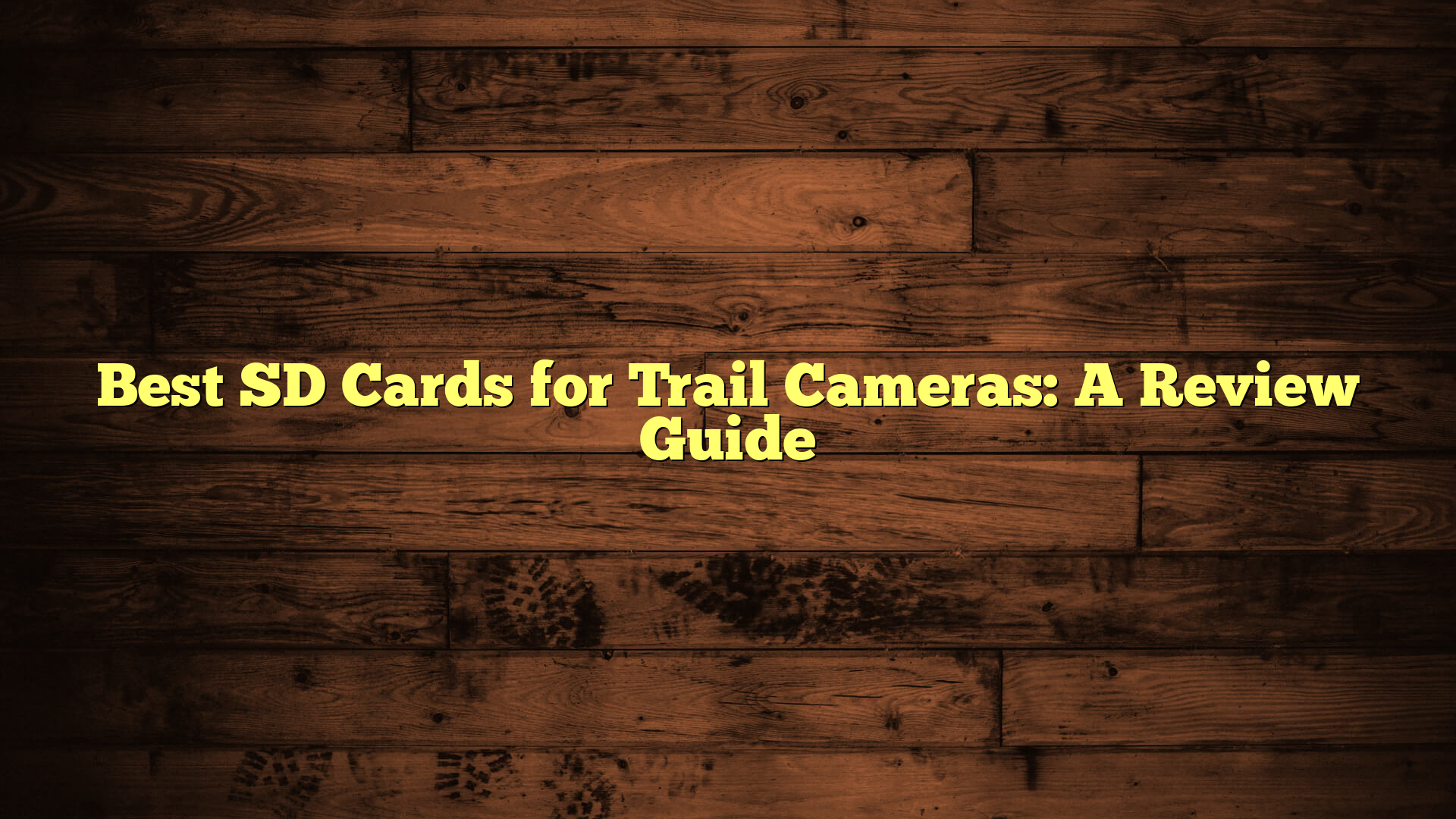 Best SD Cards for Trail Cameras: A Review Guide