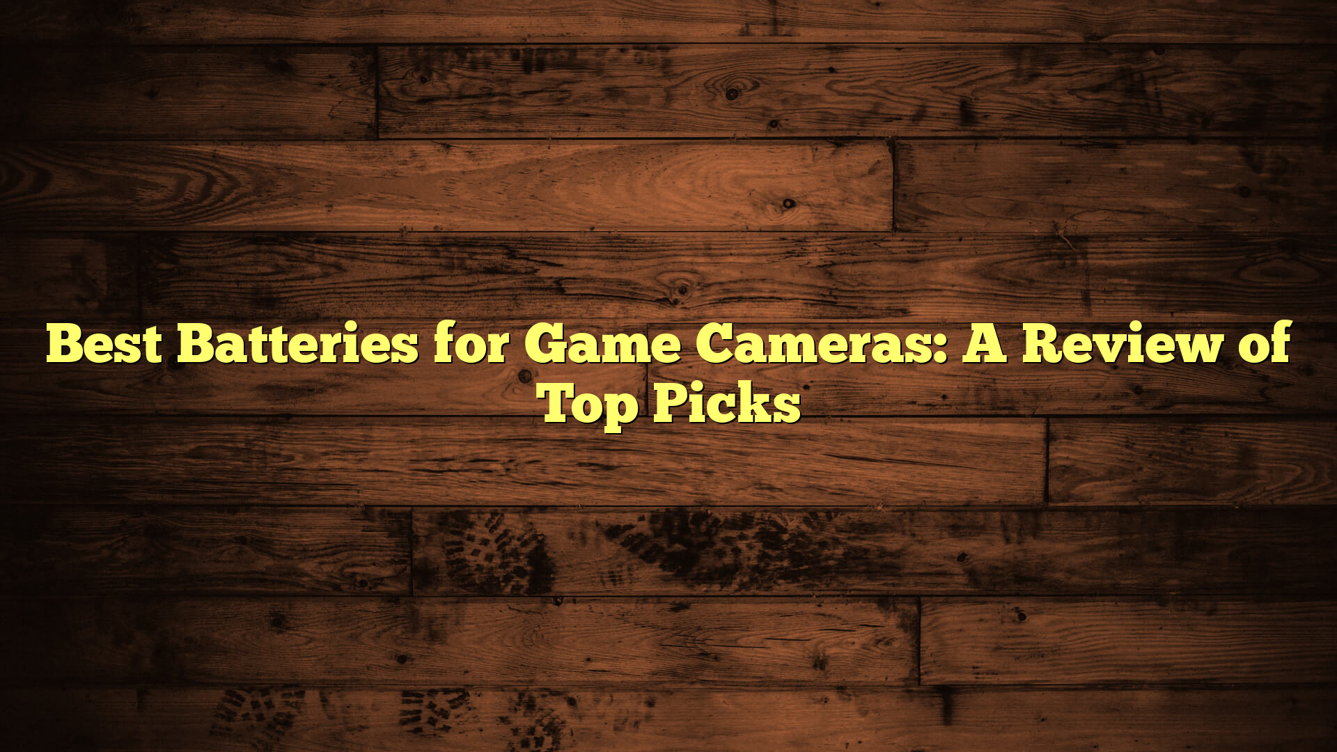 Best Batteries for Game Cameras: A Review of Top Picks