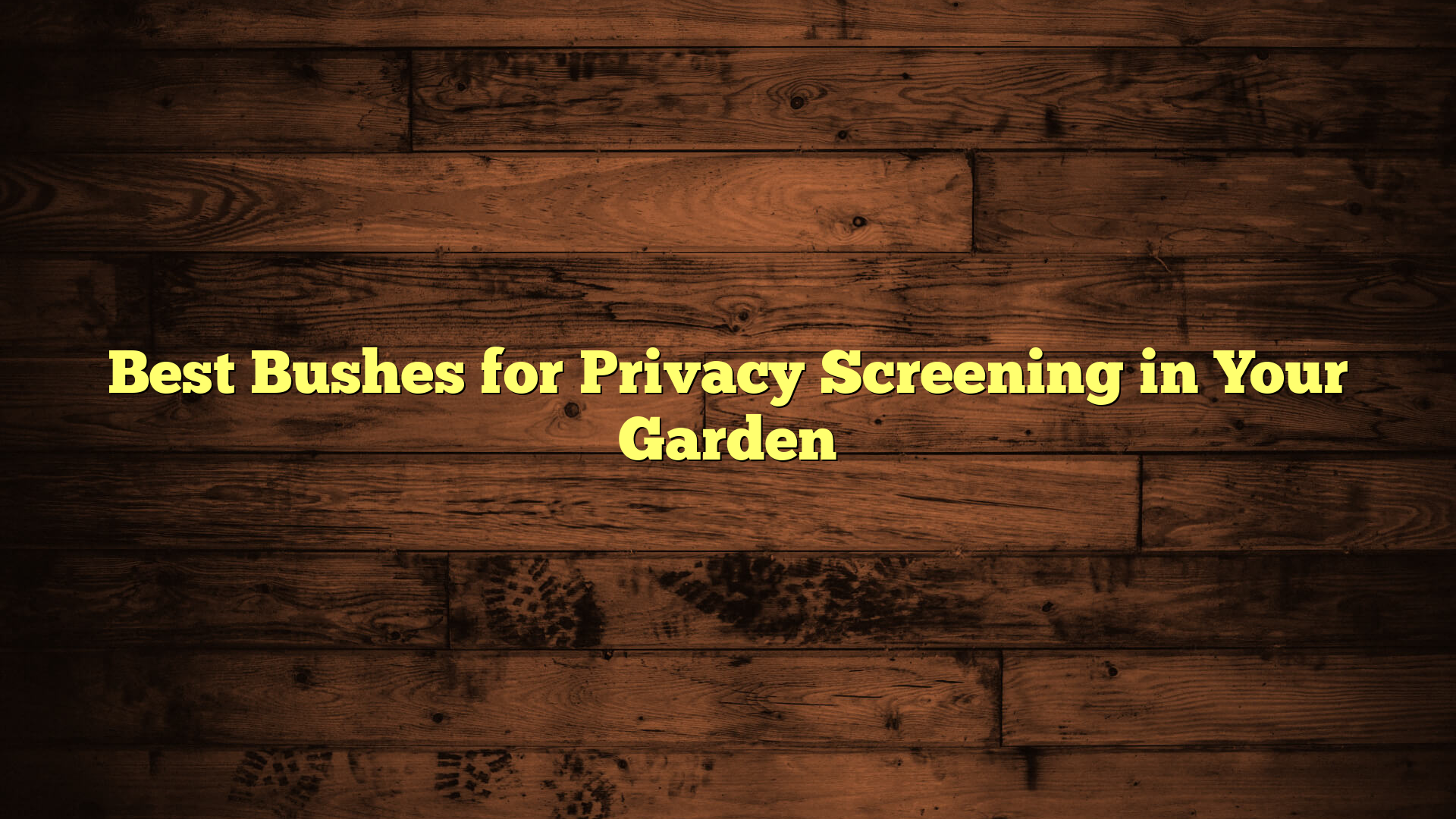Best Bushes for Privacy Screening in Your Garden