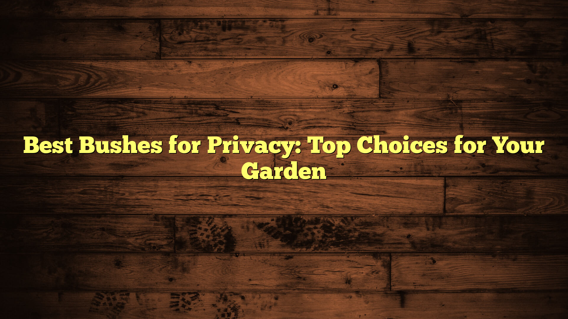 Best Bushes for Privacy: Top Choices for Your Garden