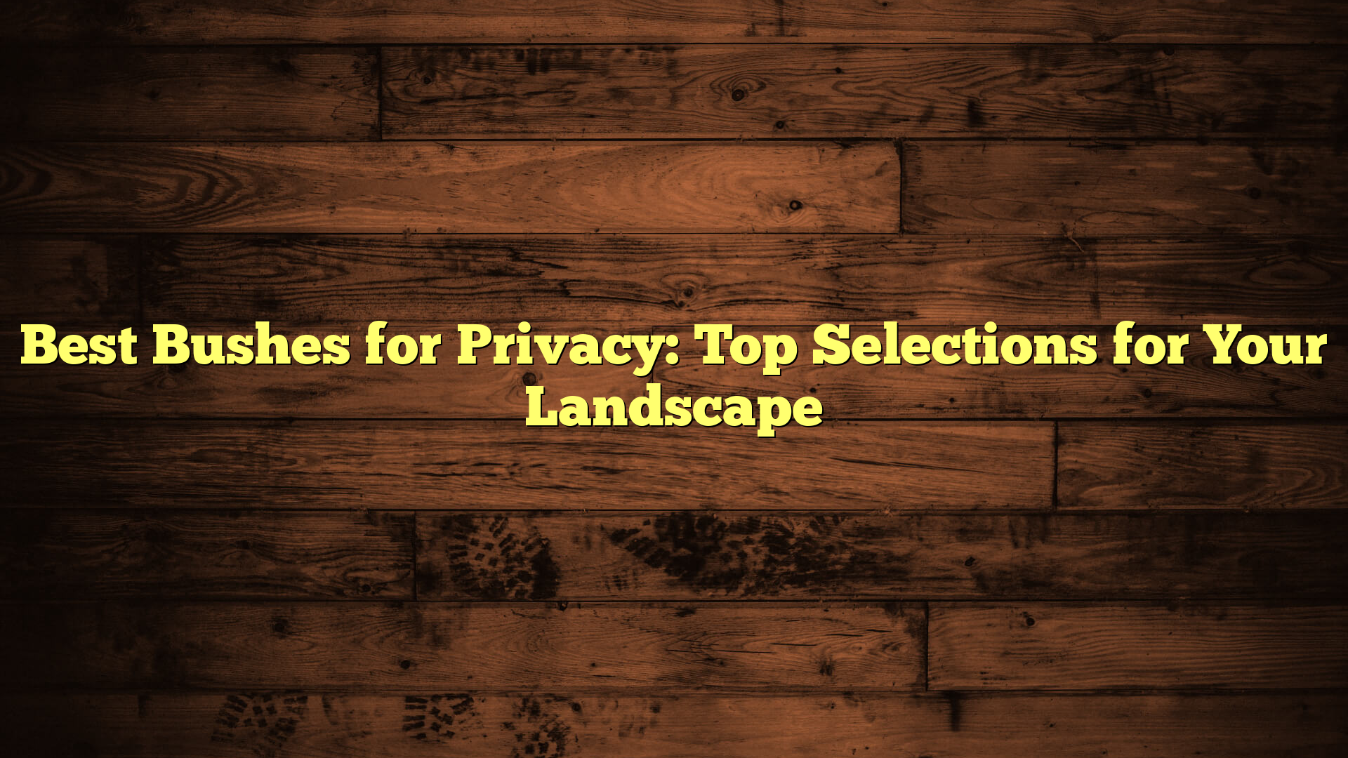 Best Bushes for Privacy: Top Selections for Your Landscape