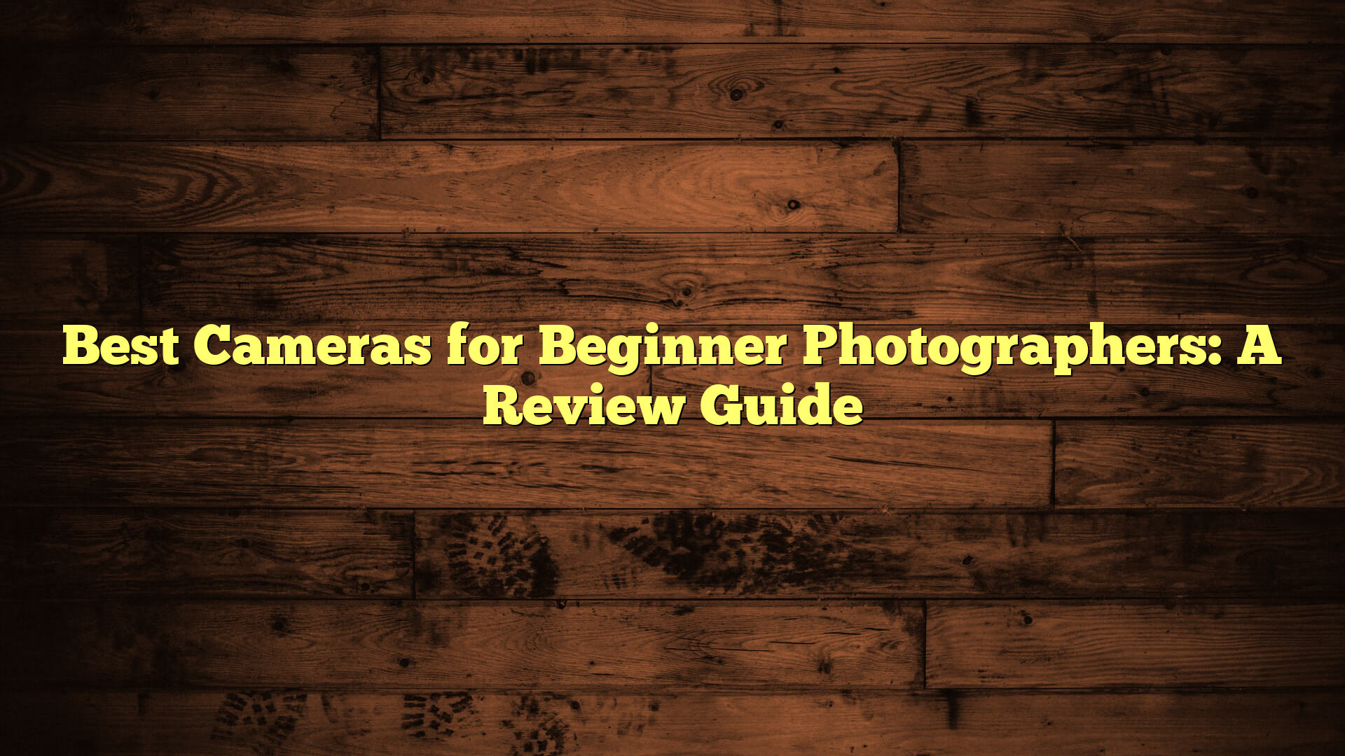 Best Cameras for Beginner Photographers: A Review Guide