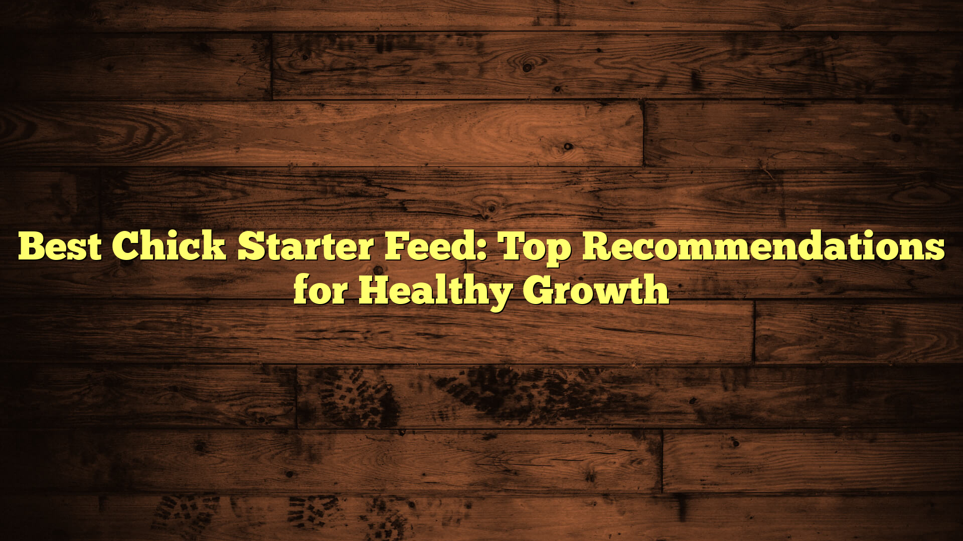 Best Chick Starter Feed: Top Recommendations for Healthy Growth