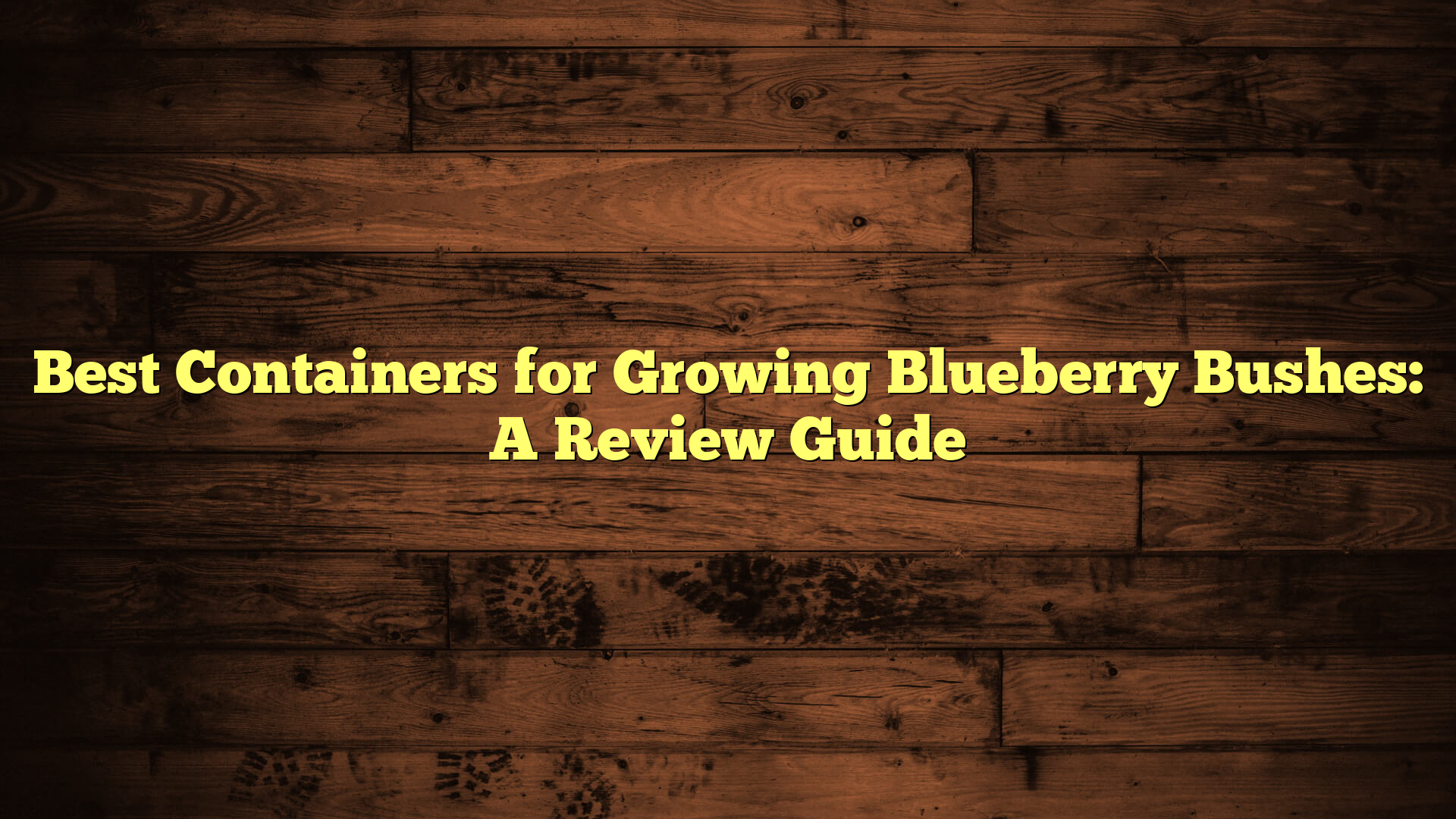 Best Containers for Growing Blueberry Bushes: A Review Guide