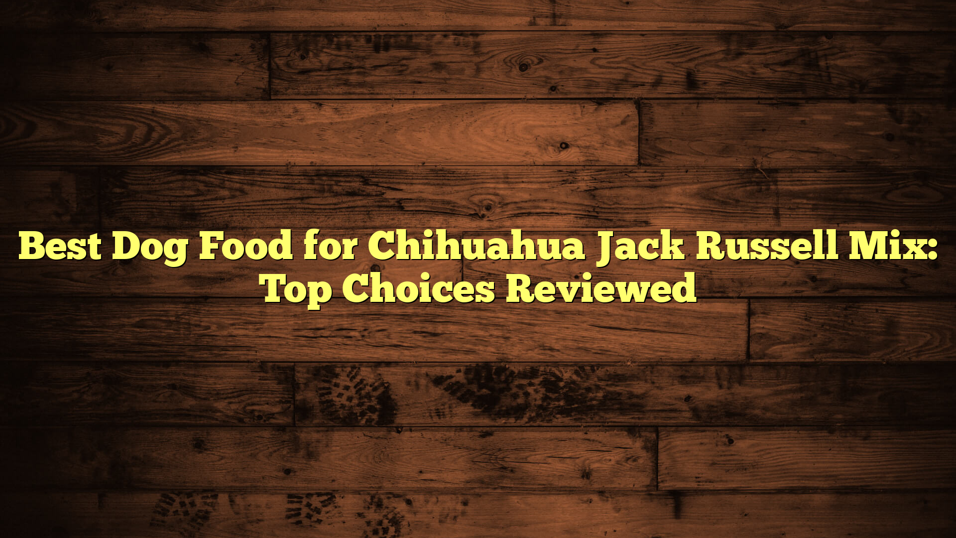 Best Dog Food for Chihuahua Jack Russell Mix: Top Choices Reviewed
