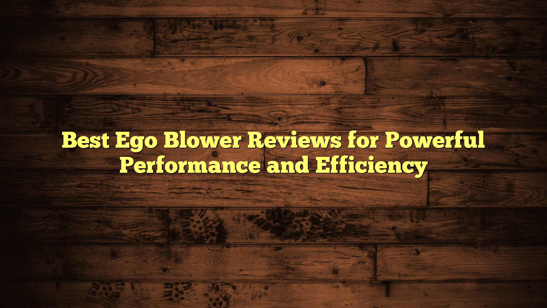 Best Ego Blower Reviews for Powerful Performance and Efficiency