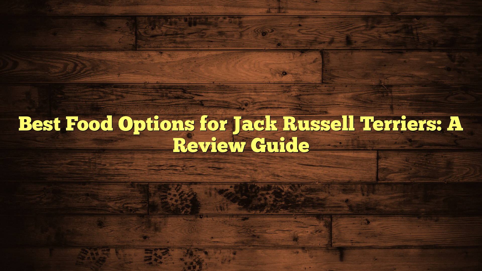 Best Food Options for Jack Russell Terriers: A Review Guide