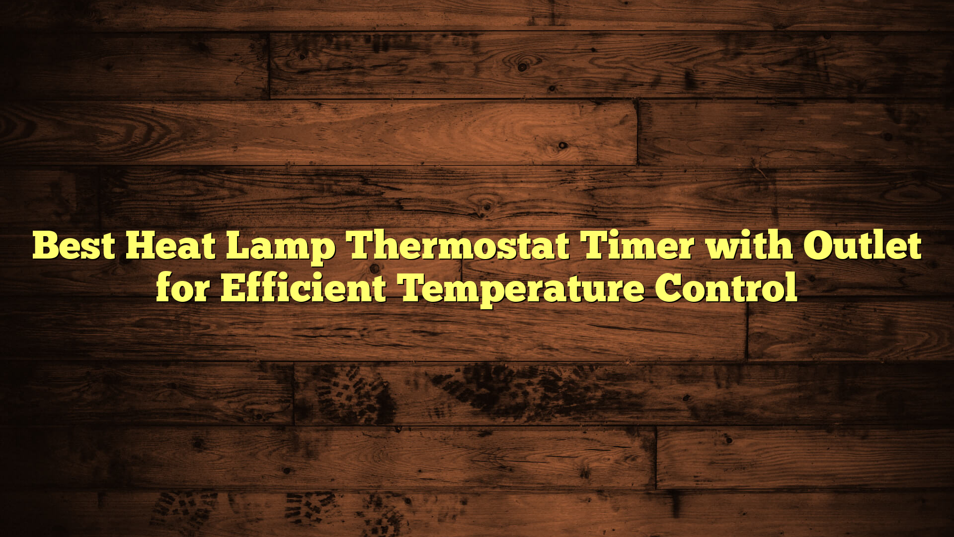 Best Heat Lamp Thermostat Timer with Outlet for Efficient Temperature Control