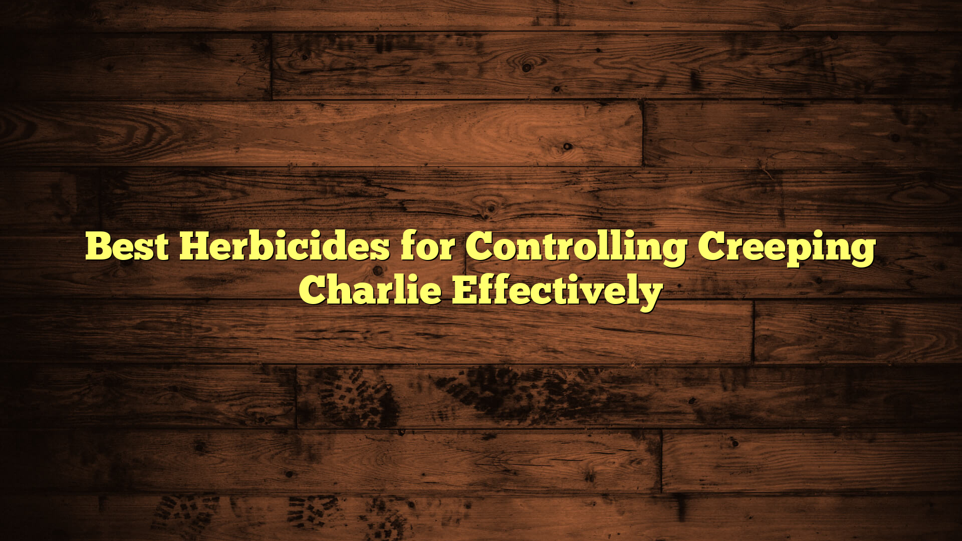 Best Herbicides for Controlling Creeping Charlie Effectively