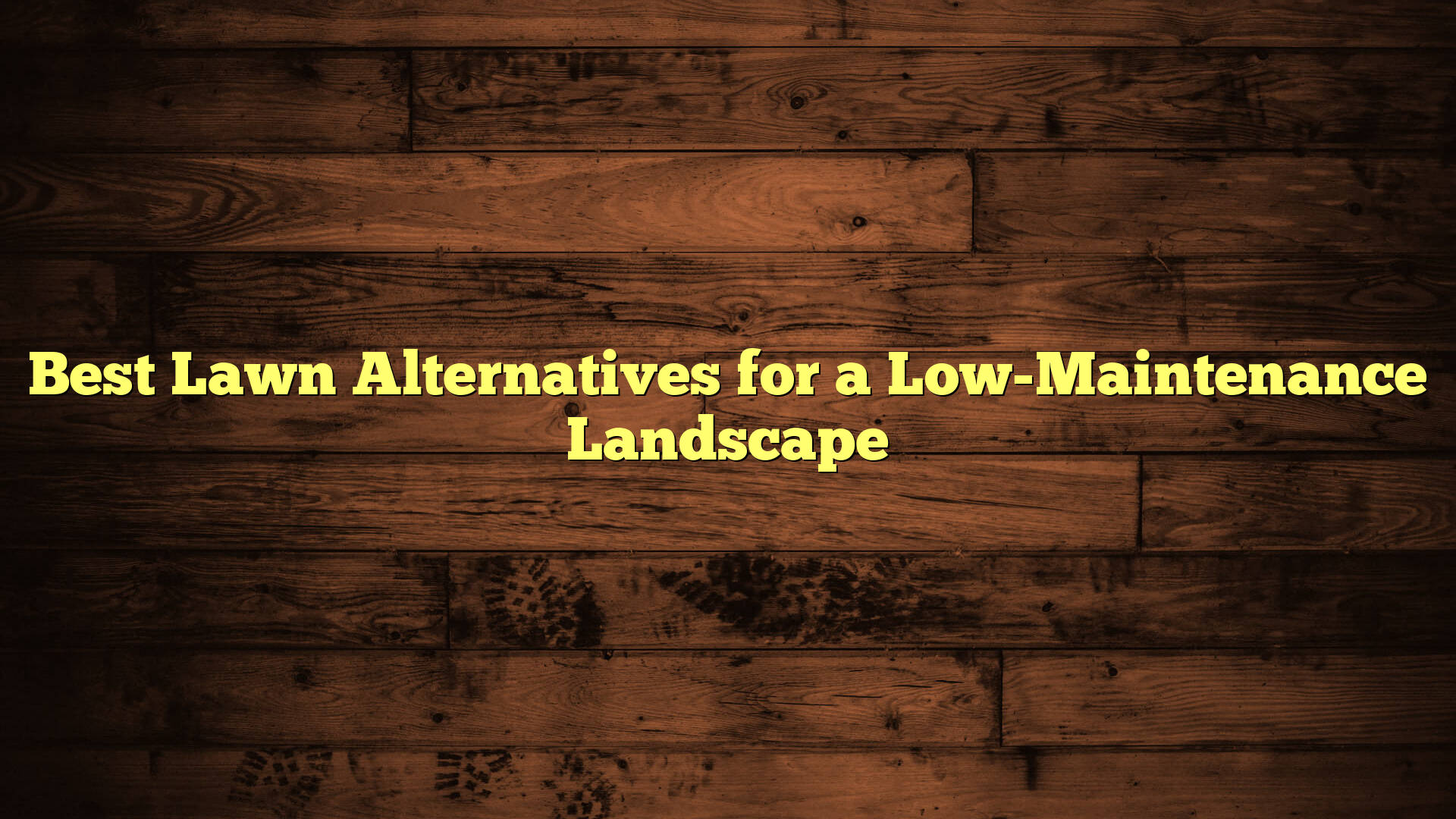 Best Lawn Alternatives for a Low-Maintenance Landscape