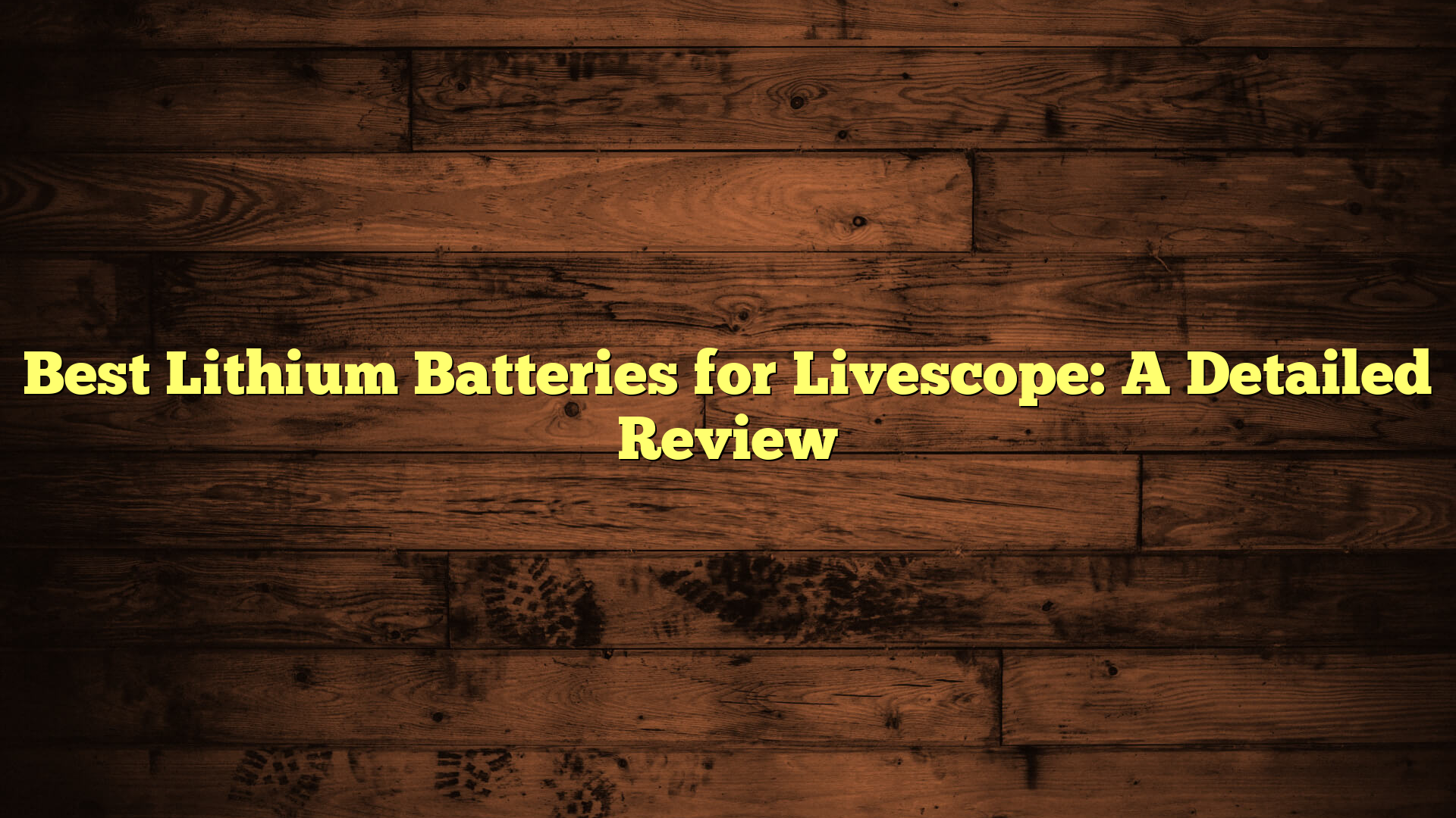 Best Lithium Batteries for Livescope: A Detailed Review