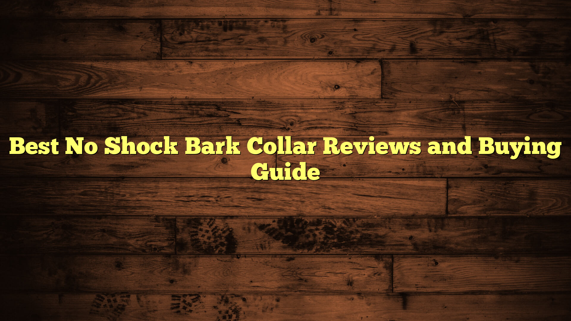 Best No Shock Bark Collar Reviews and Buying Guide