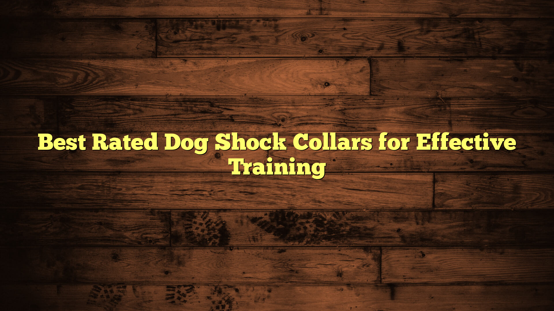 Best Rated Dog Shock Collars for Effective Training