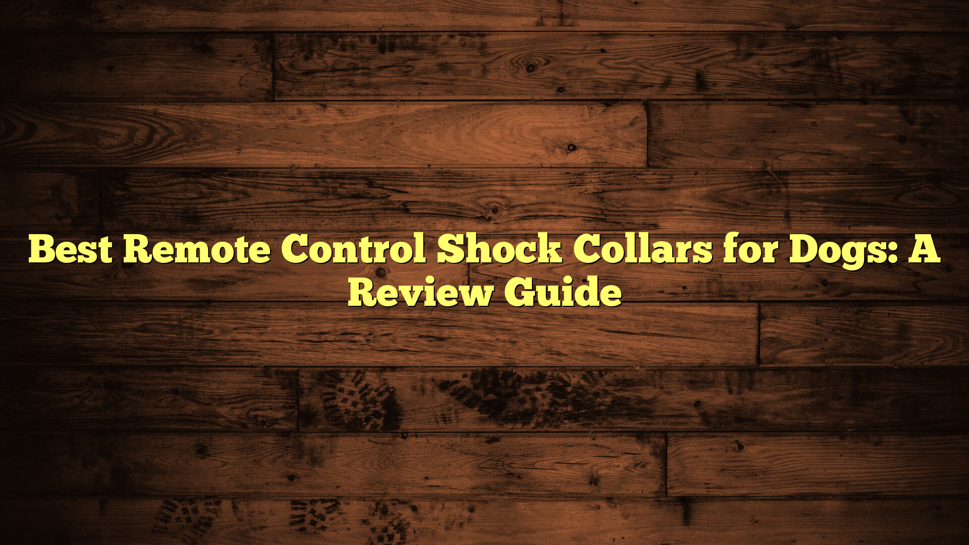 Best Remote Control Shock Collars for Dogs: A Review Guide