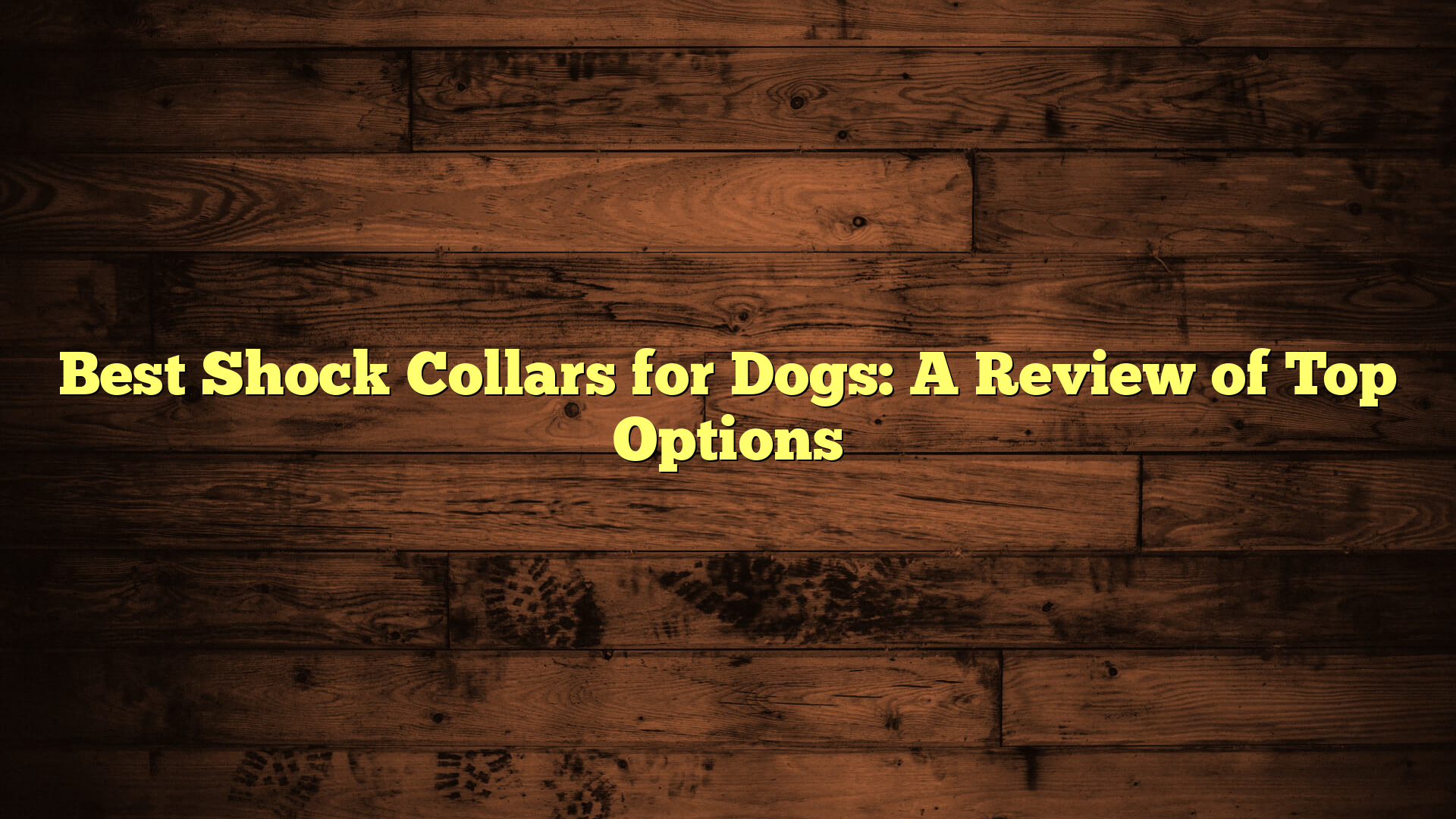 Best Shock Collars for Dogs: A Review of Top Options