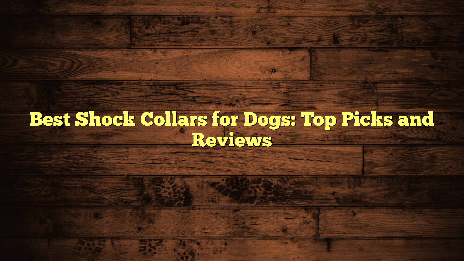 Best Shock Collars for Dogs: Top Picks and Reviews