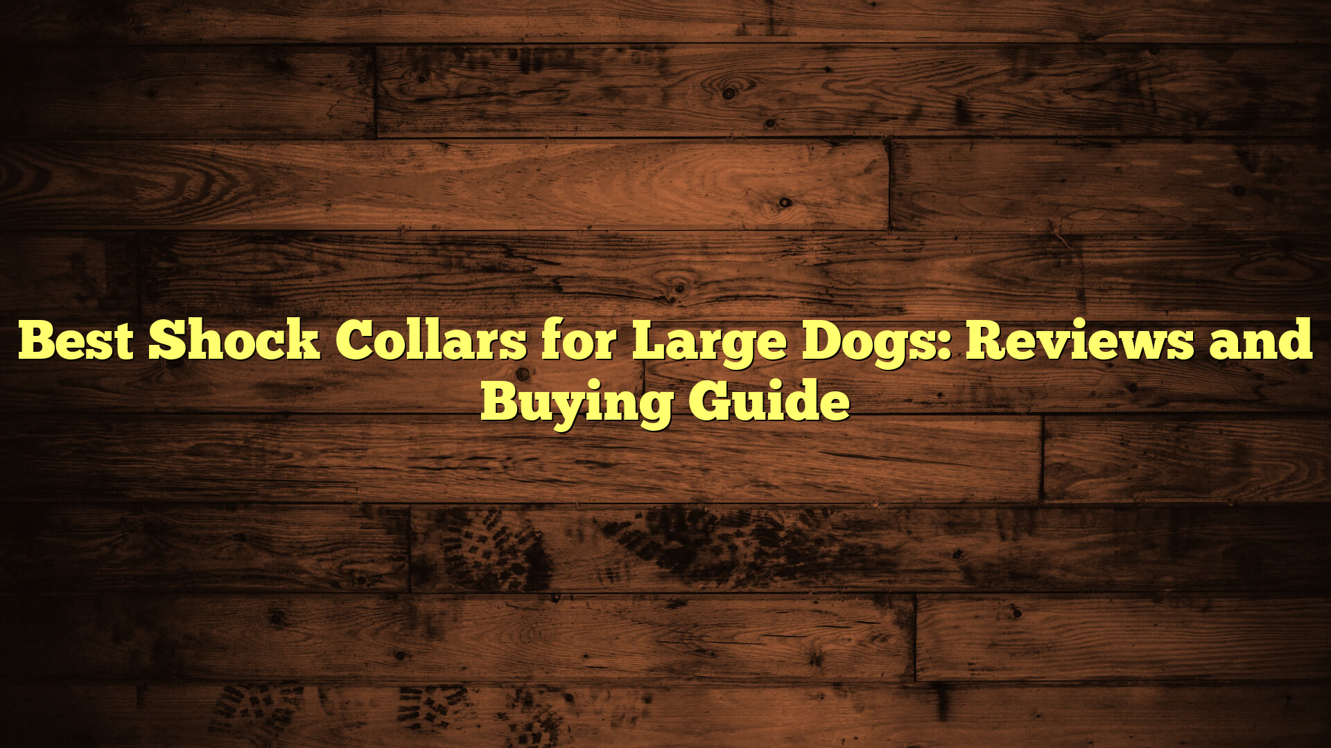 Best Shock Collars for Large Dogs: Reviews and Buying Guide