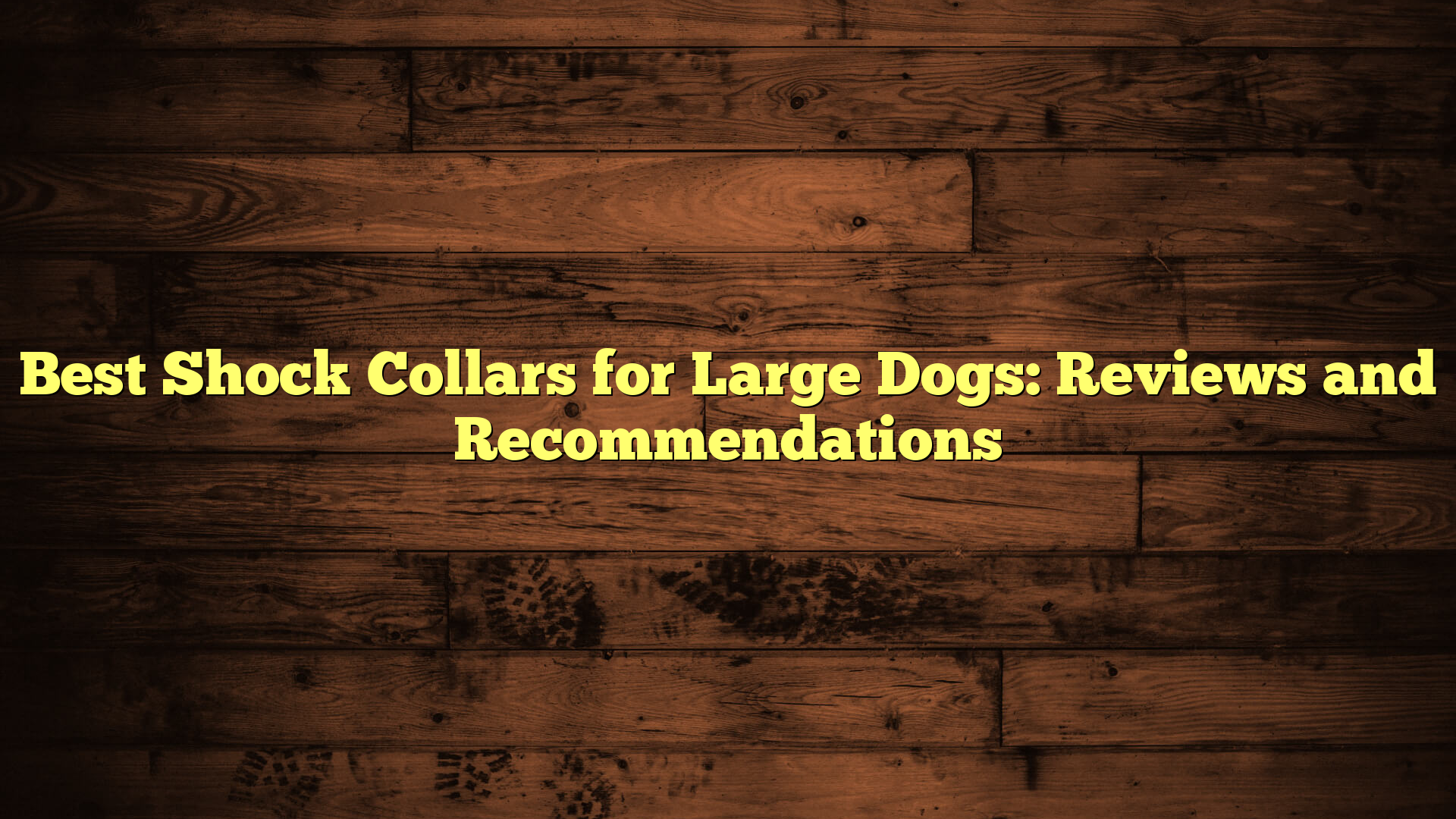 Best Shock Collars for Large Dogs: Reviews and Recommendations