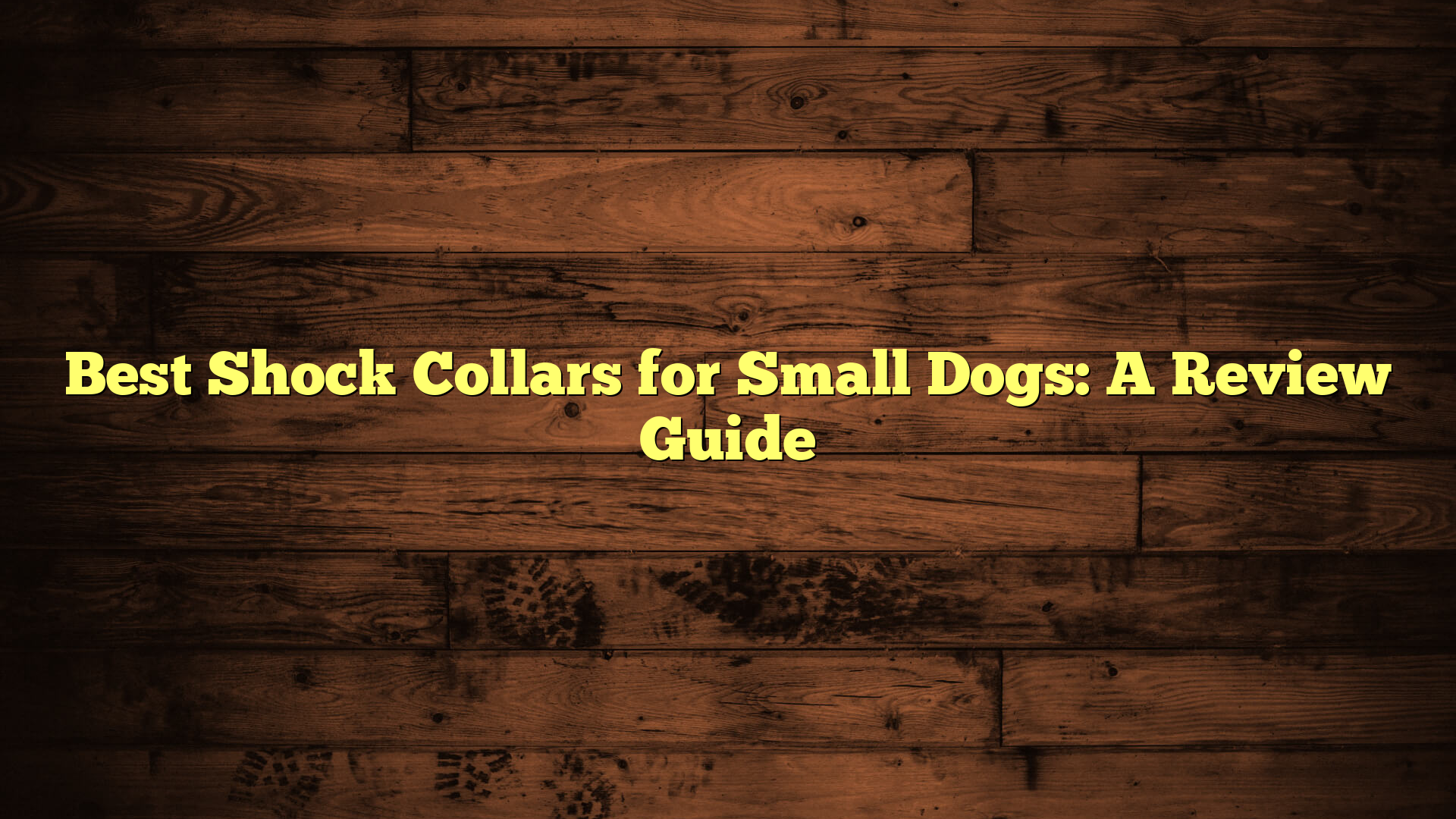 Best Shock Collars for Small Dogs: A Review Guide
